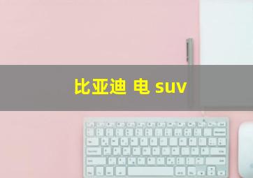 比亚迪 电 suv